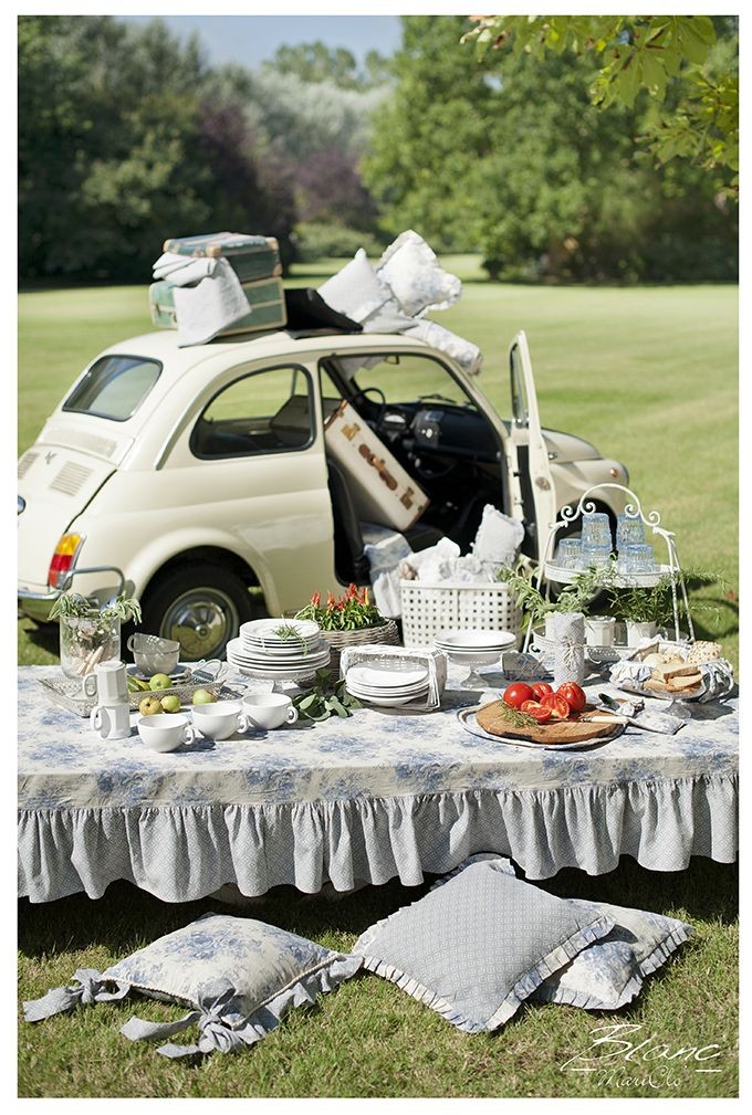 bune maniere la picnic