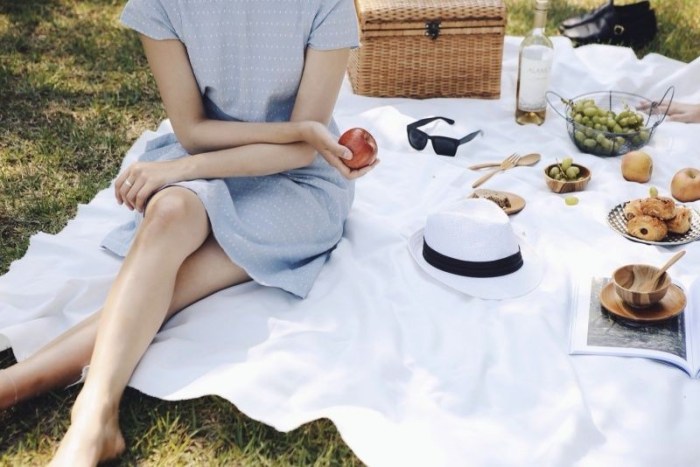 bune maniere la picnic